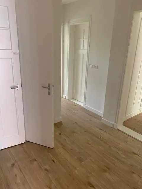 Image 12 of 12