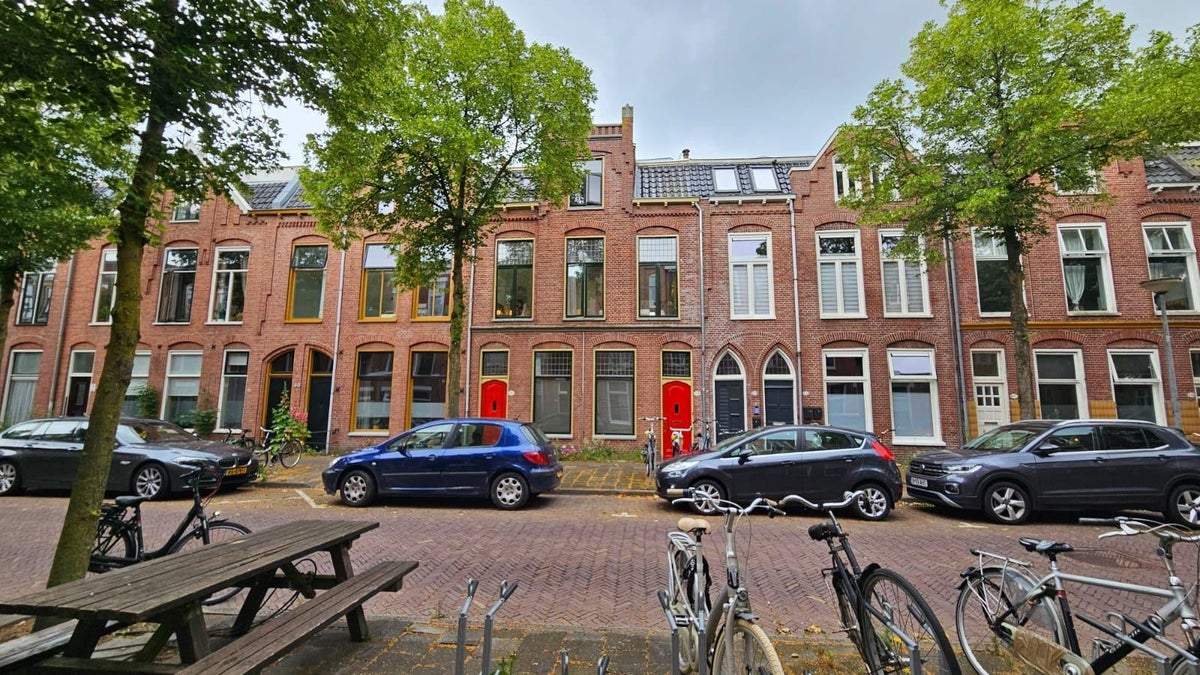 Afbeelding 1 van 15