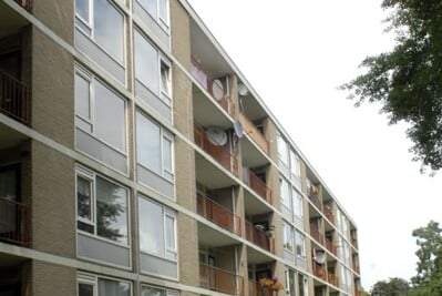Afbeelding 1 van 6