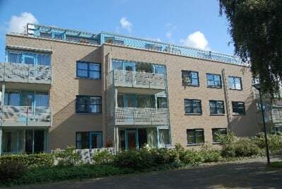Afbeelding 1 van 13