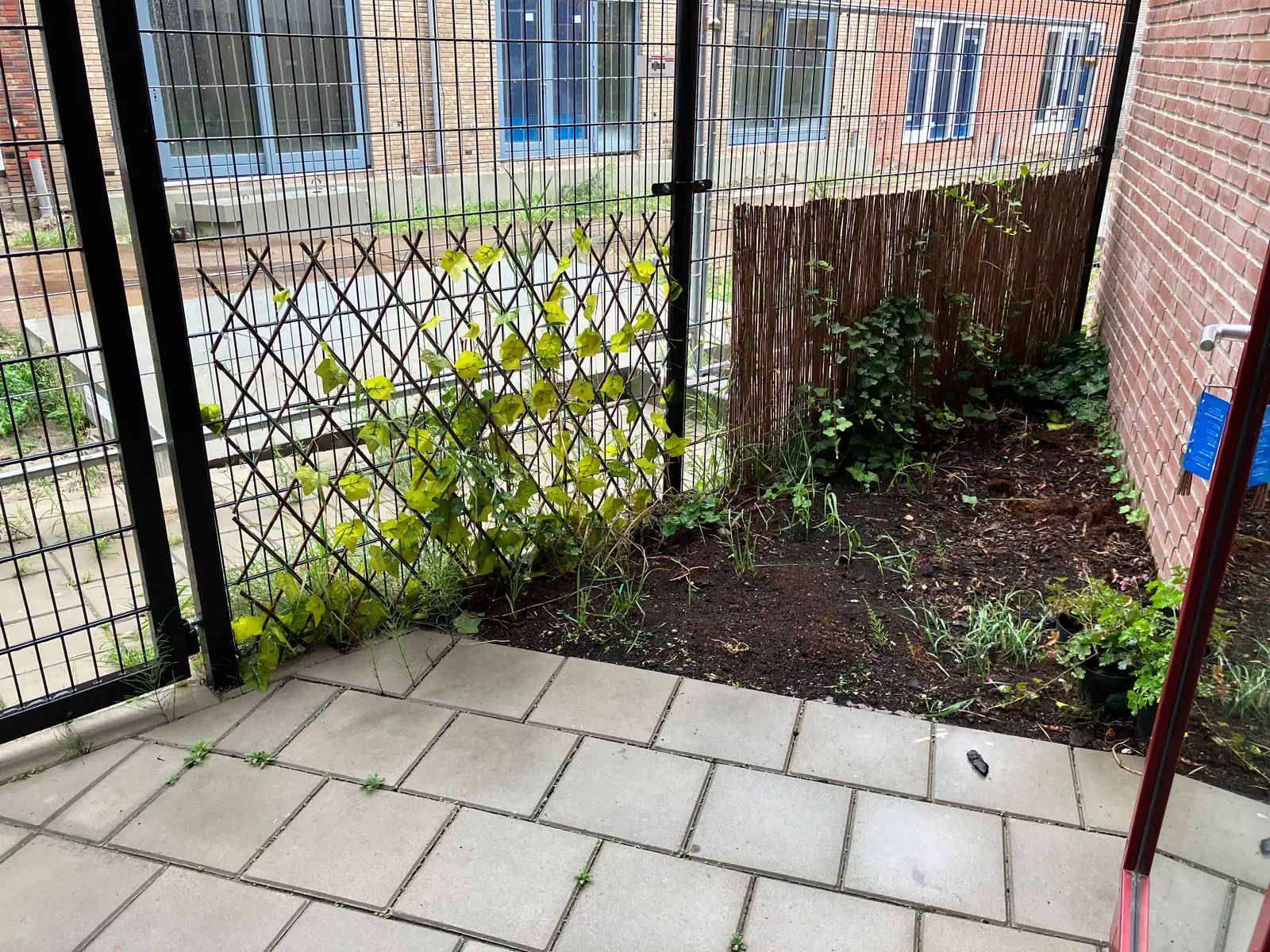 Image 7 of 28
