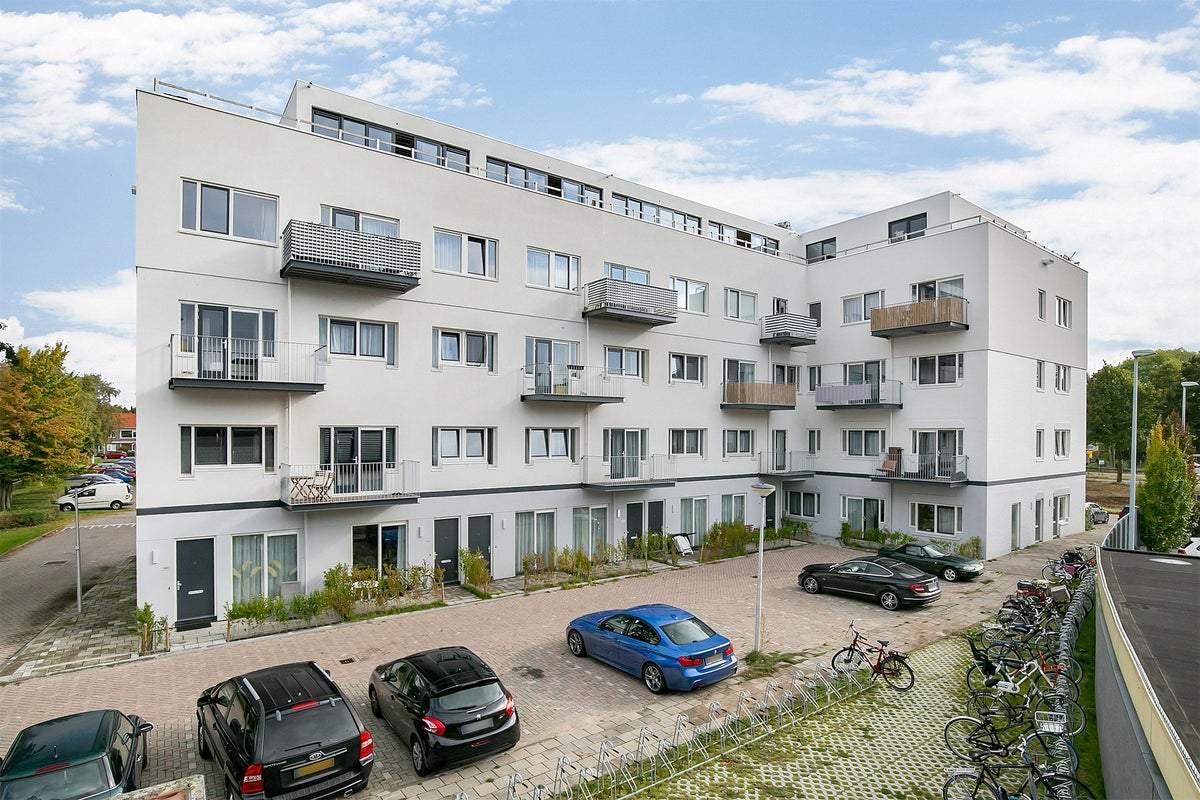 Bild 1 von 38