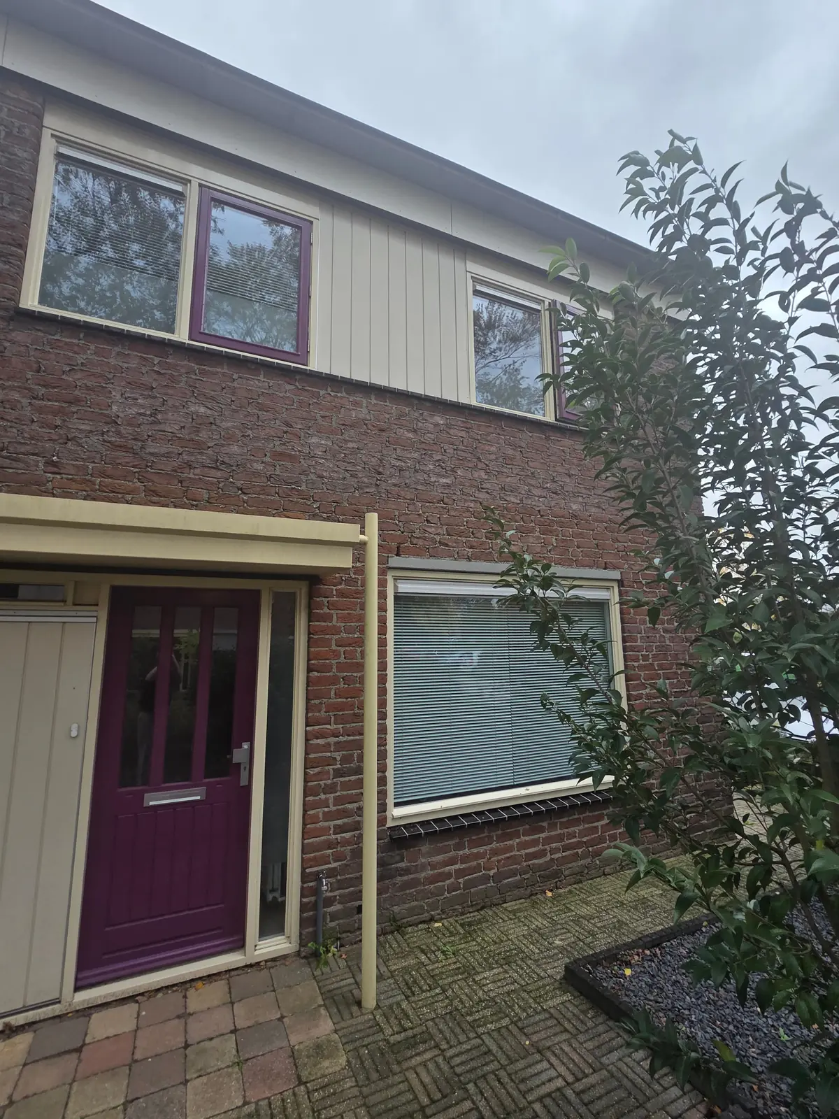 Afbeelding 8 van 8