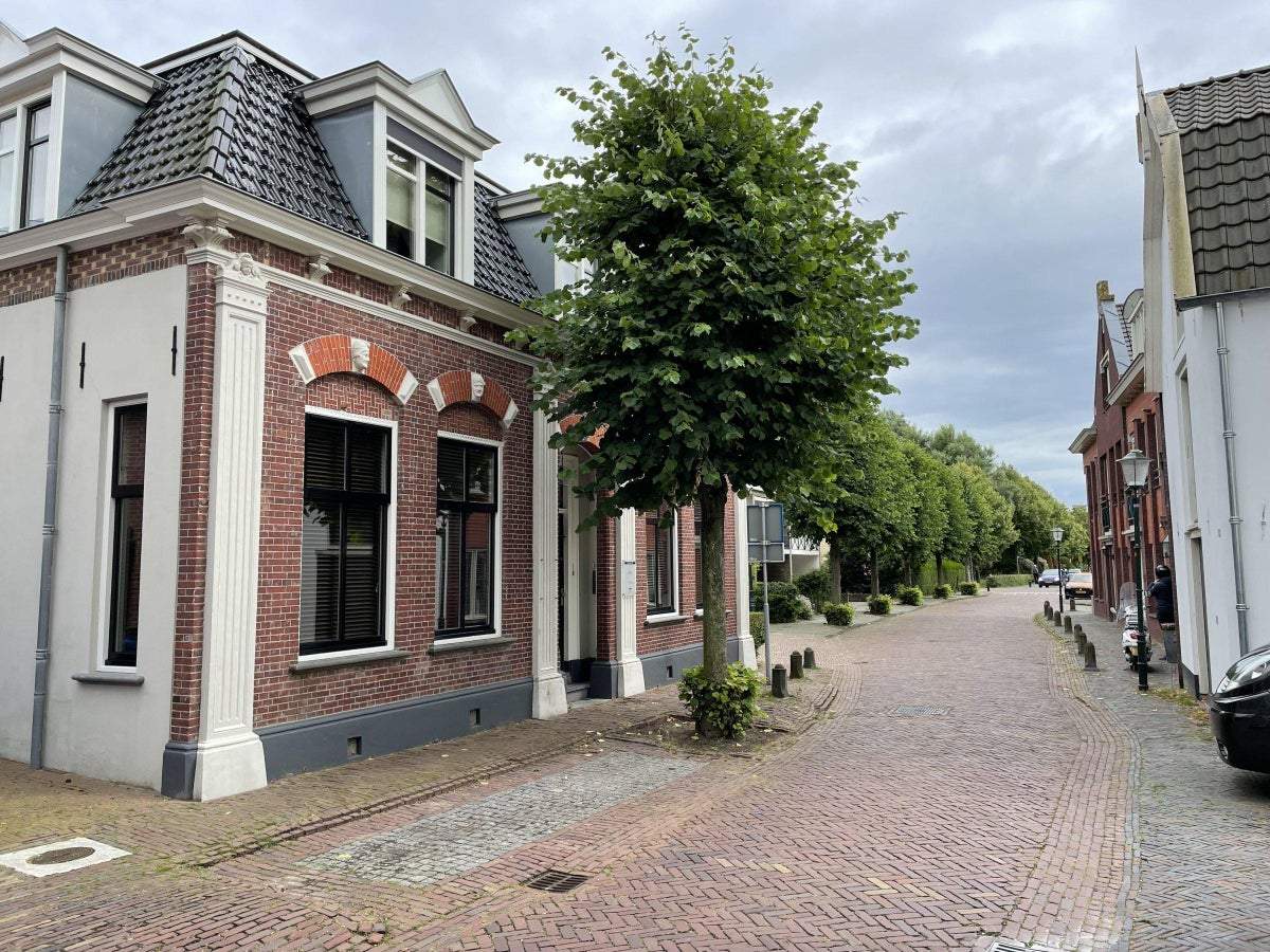 Afbeelding 3 van 31