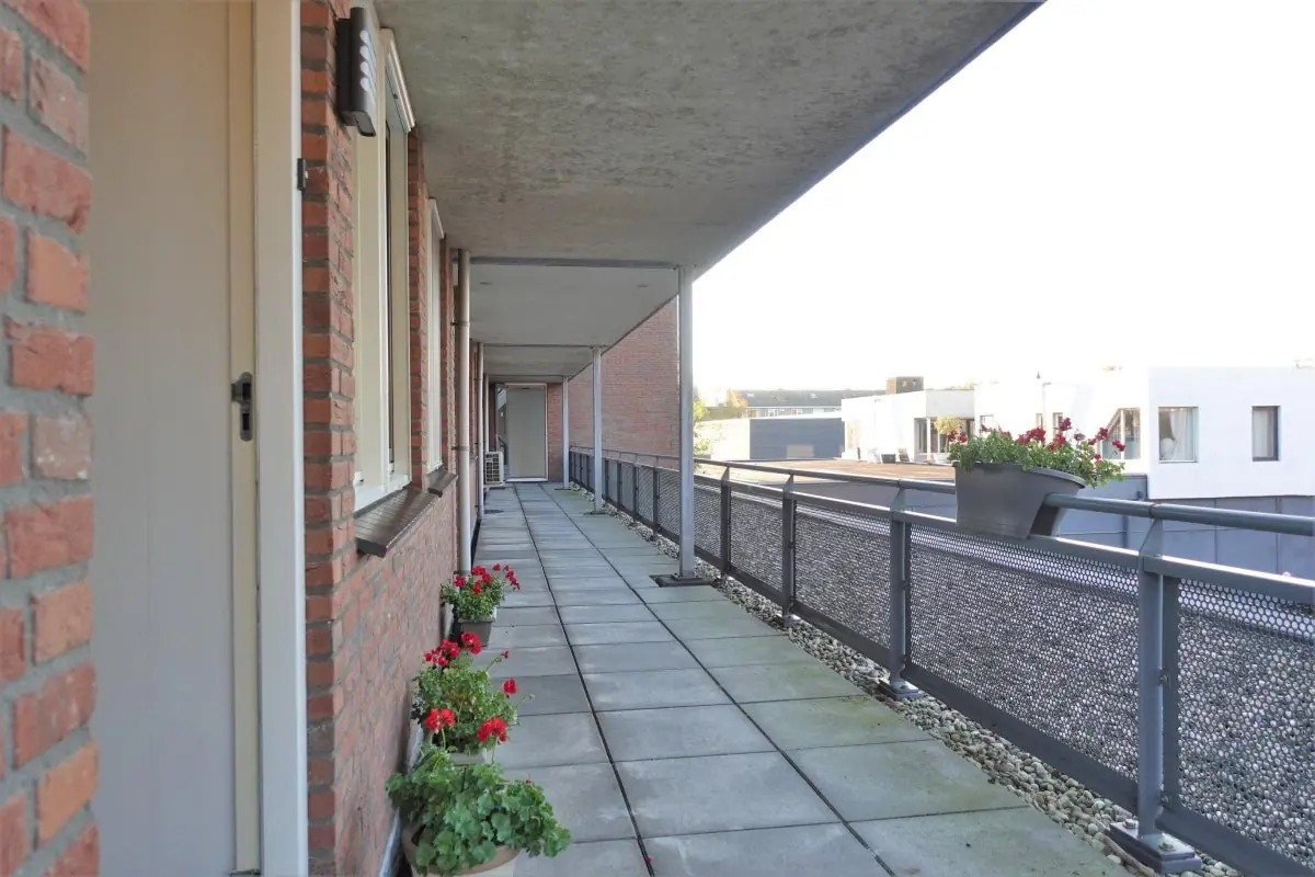 Image 6 of 31