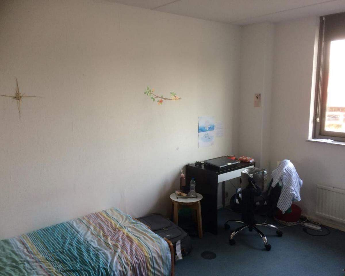 Image 2 of 8
