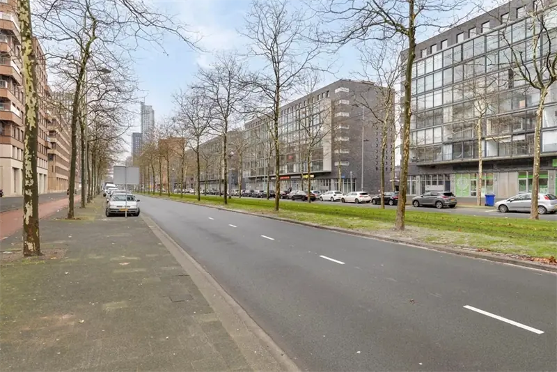 Afbeelding 28 van 29