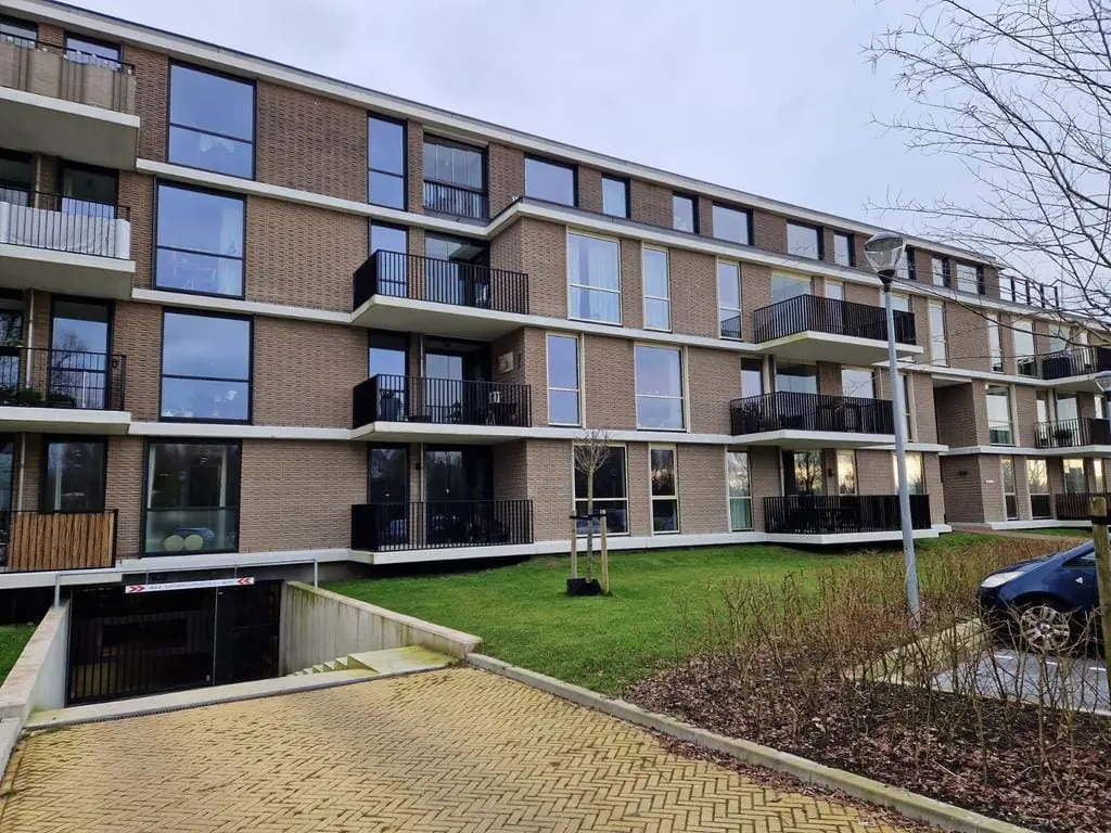 Image 10 of 13