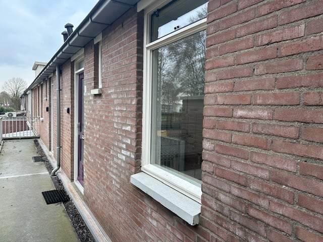 Afbeelding 2 van 12