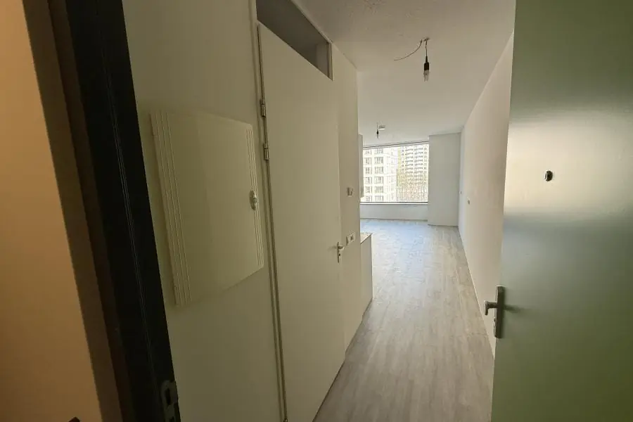 Image 12 of 20