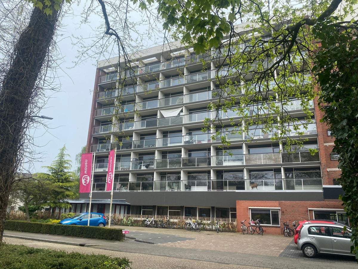 Bild 1 von 7