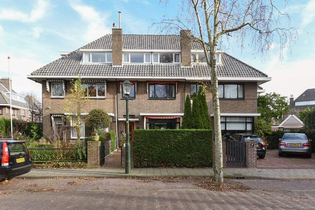 Afbeelding 2 van 12