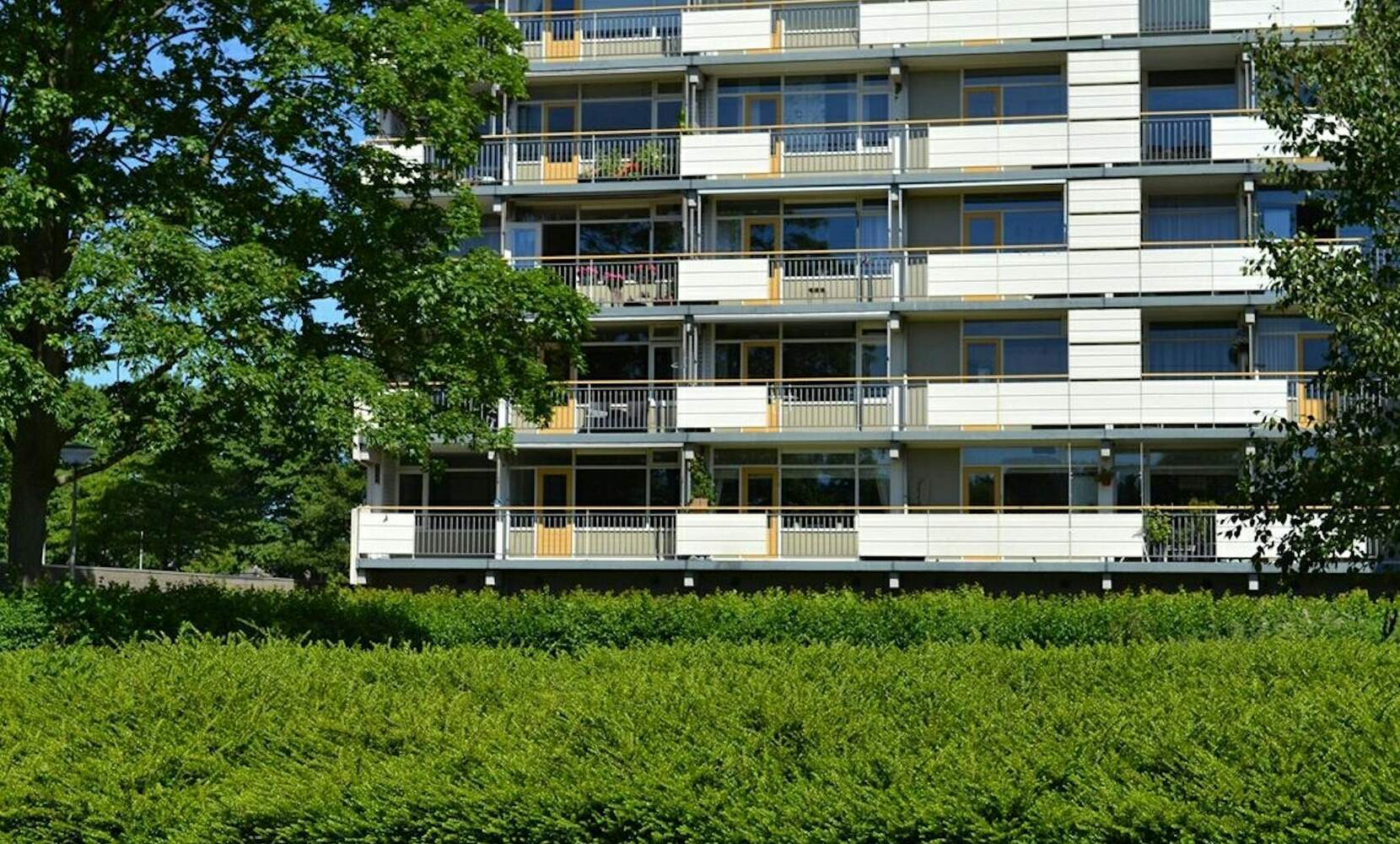 Afbeelding 2 van 10