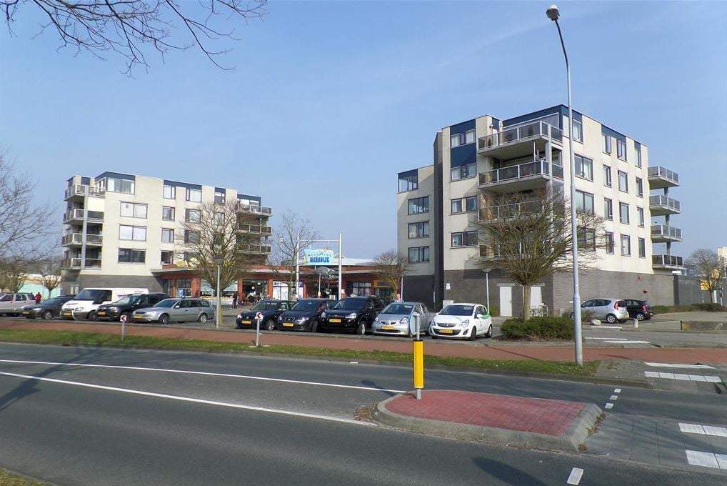 Afbeelding 2 van 11