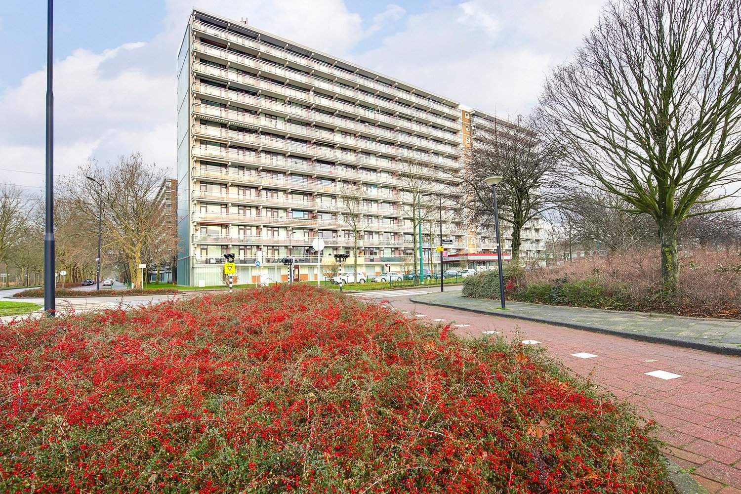 Afbeelding 1 van 9