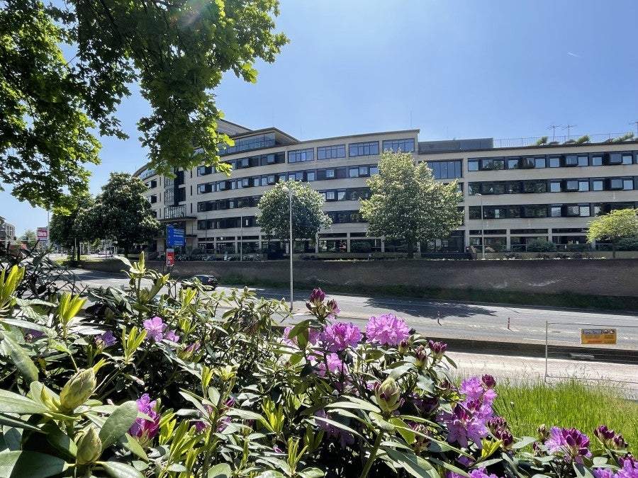 Afbeelding 1 van 6