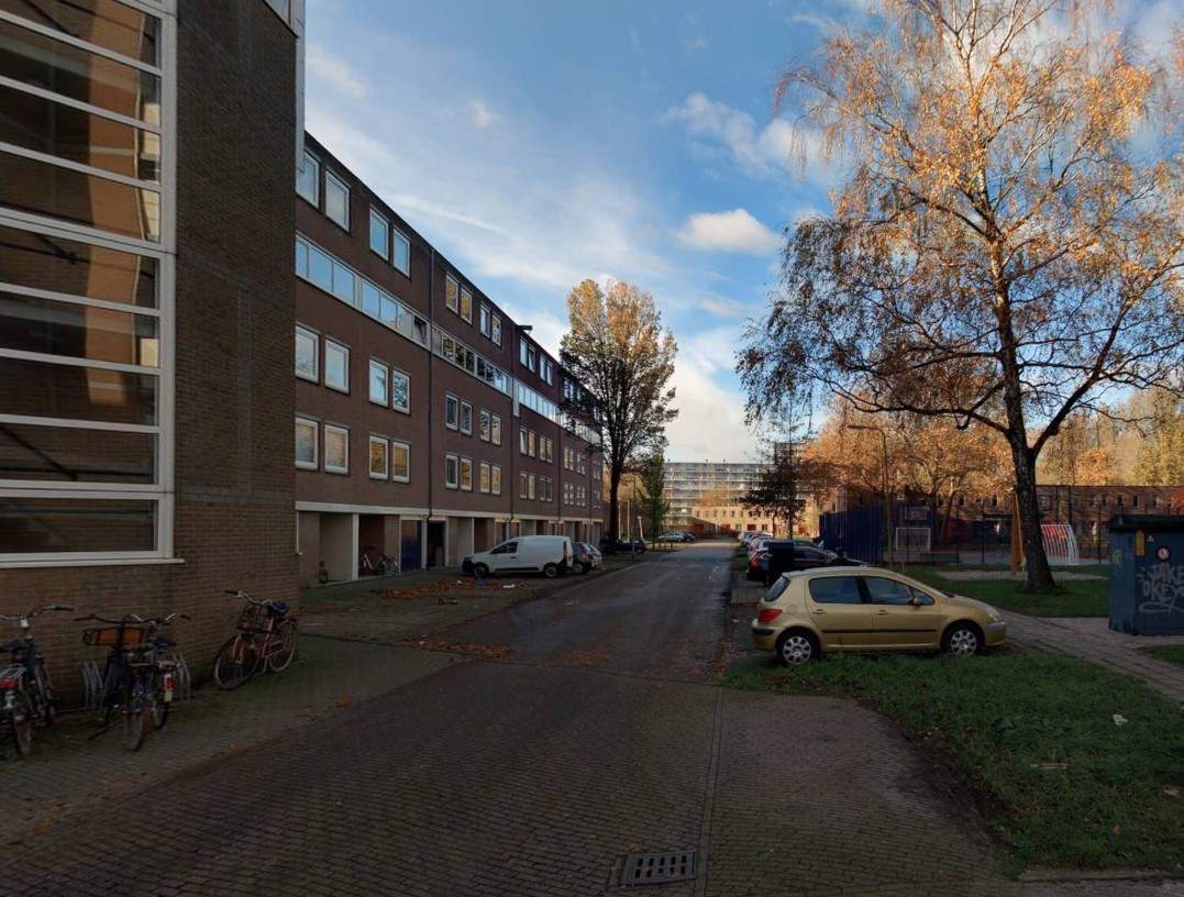 Afbeelding 3 van 3
