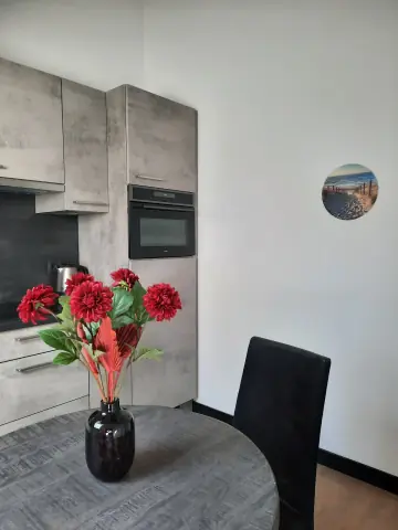 Gemeubileerd Loftappartement, Muscatstraat, Zuidoostbeemster - Te huur