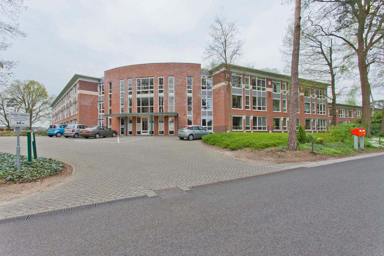 Afbeelding 1 van 12