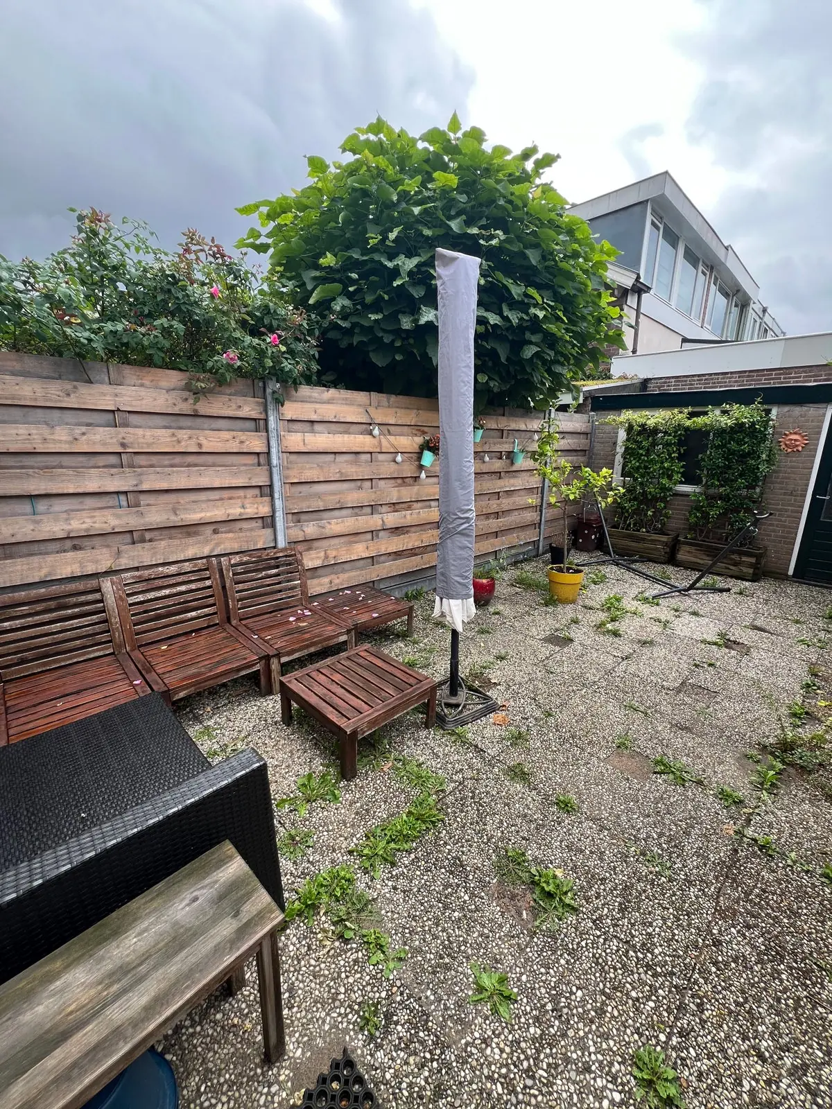 Image 23 of 25