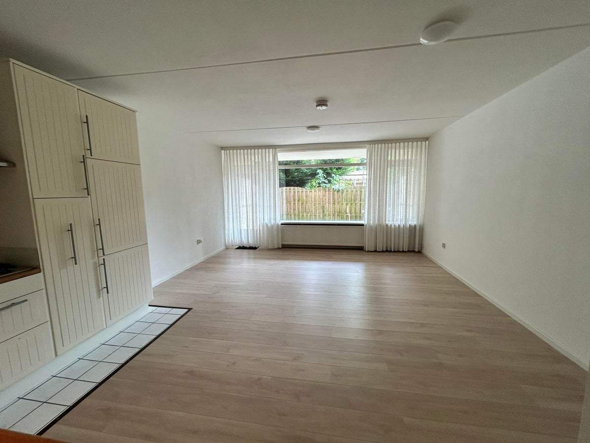 Bild 3 von 12