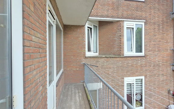 Afbeelding 15 van 16