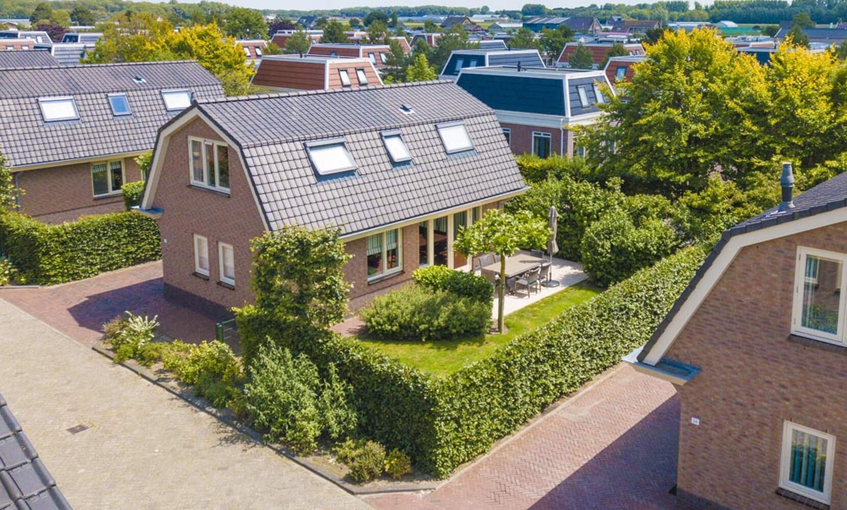 Afbeelding 1 van 12