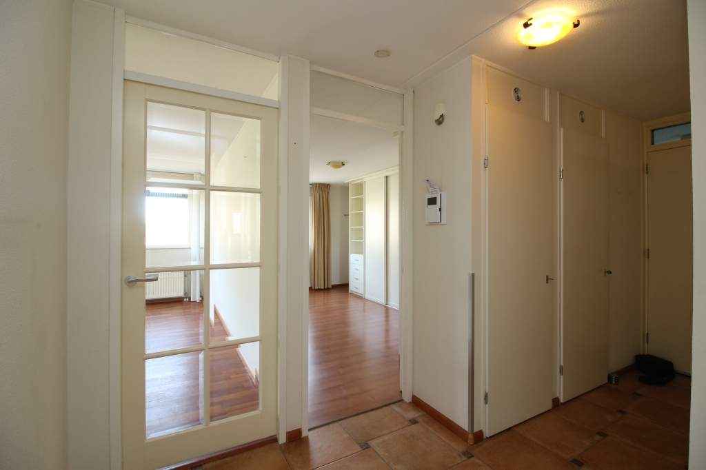 Image 8 of 29