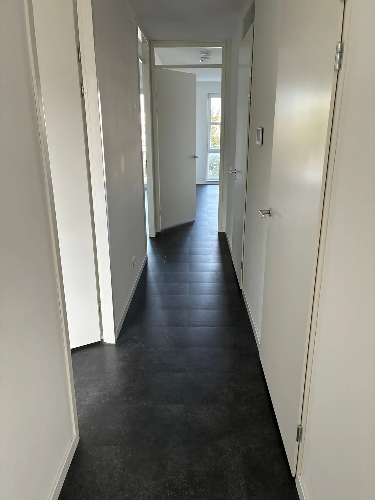 Image 5 of 14
