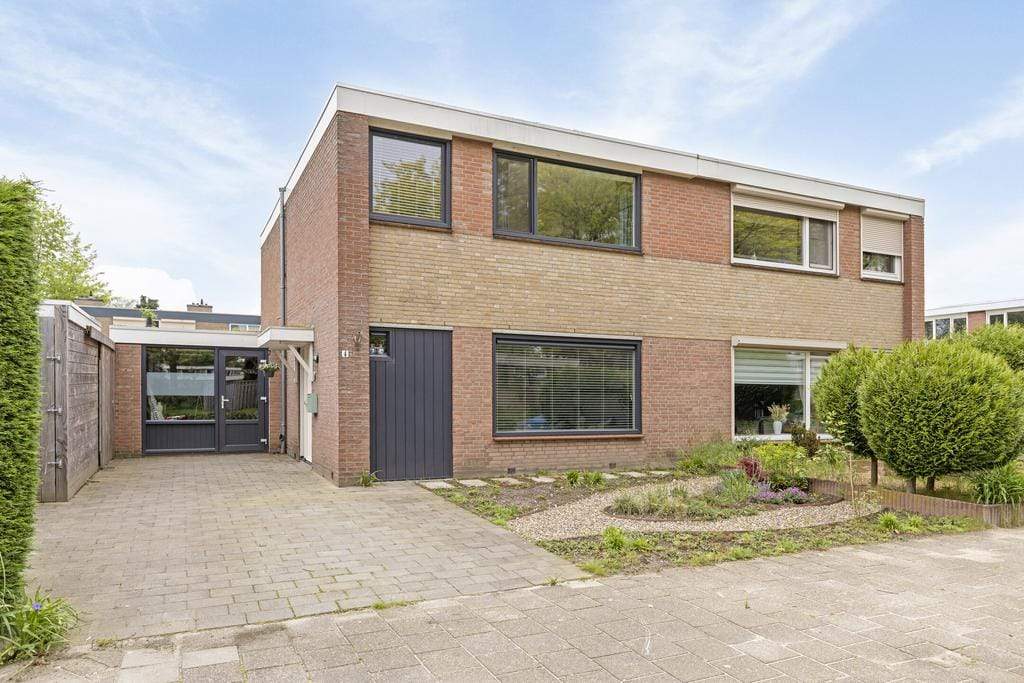 Afbeelding 1 van 12