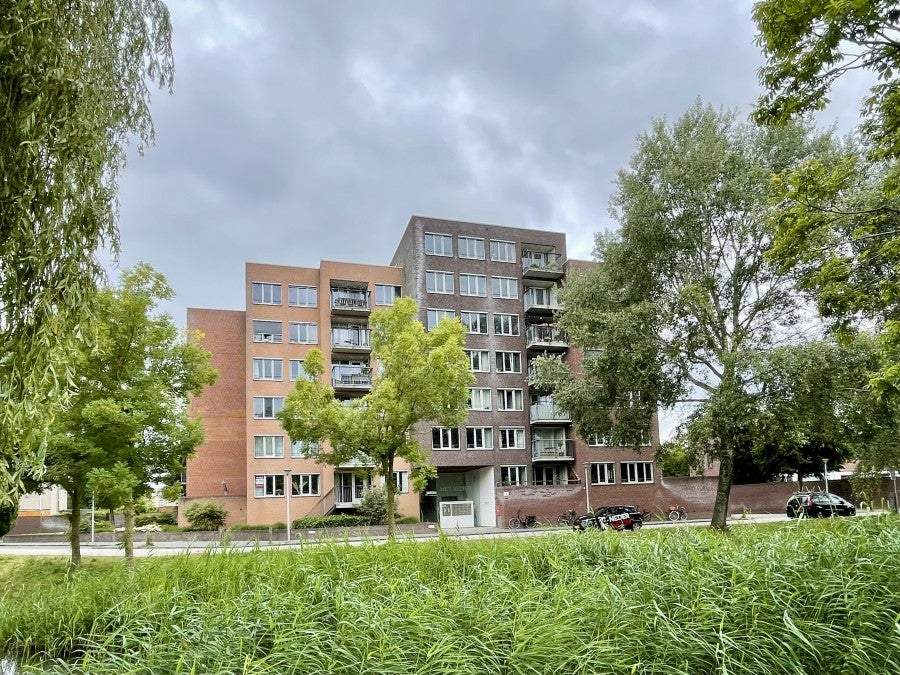 Bild 1 von 19