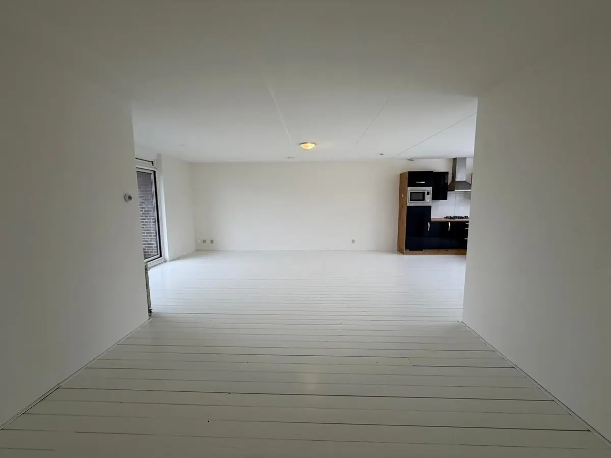 Image 8 of 25