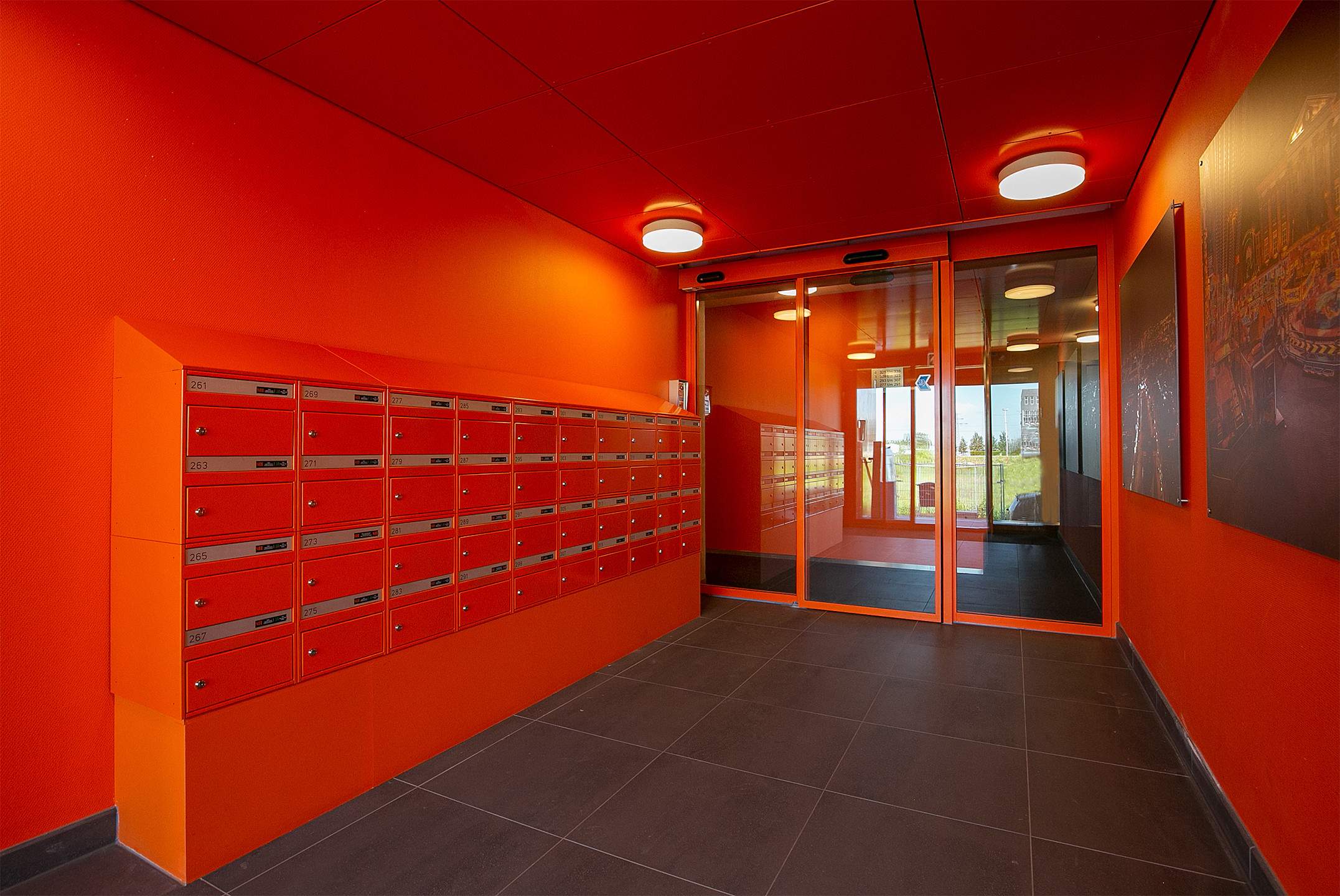 Afbeelding 2 van 24
