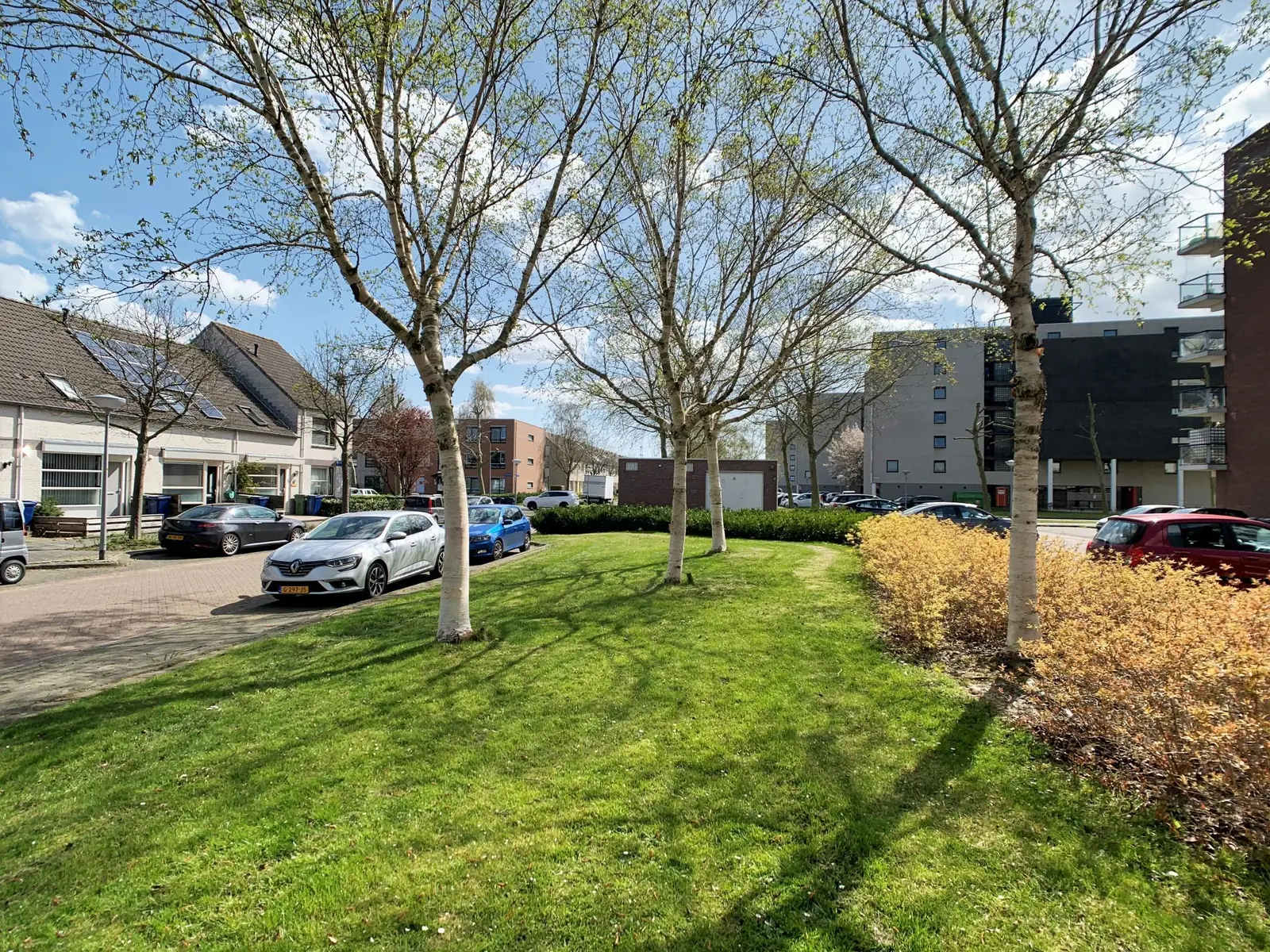 Image 18 of 18