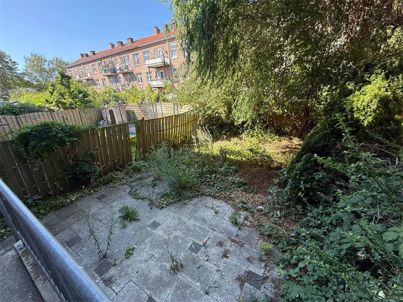 Bild 10 von 10