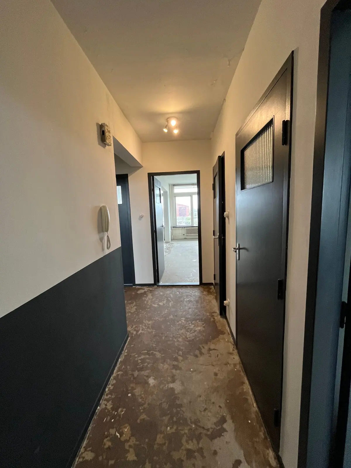 Image 4 of 16