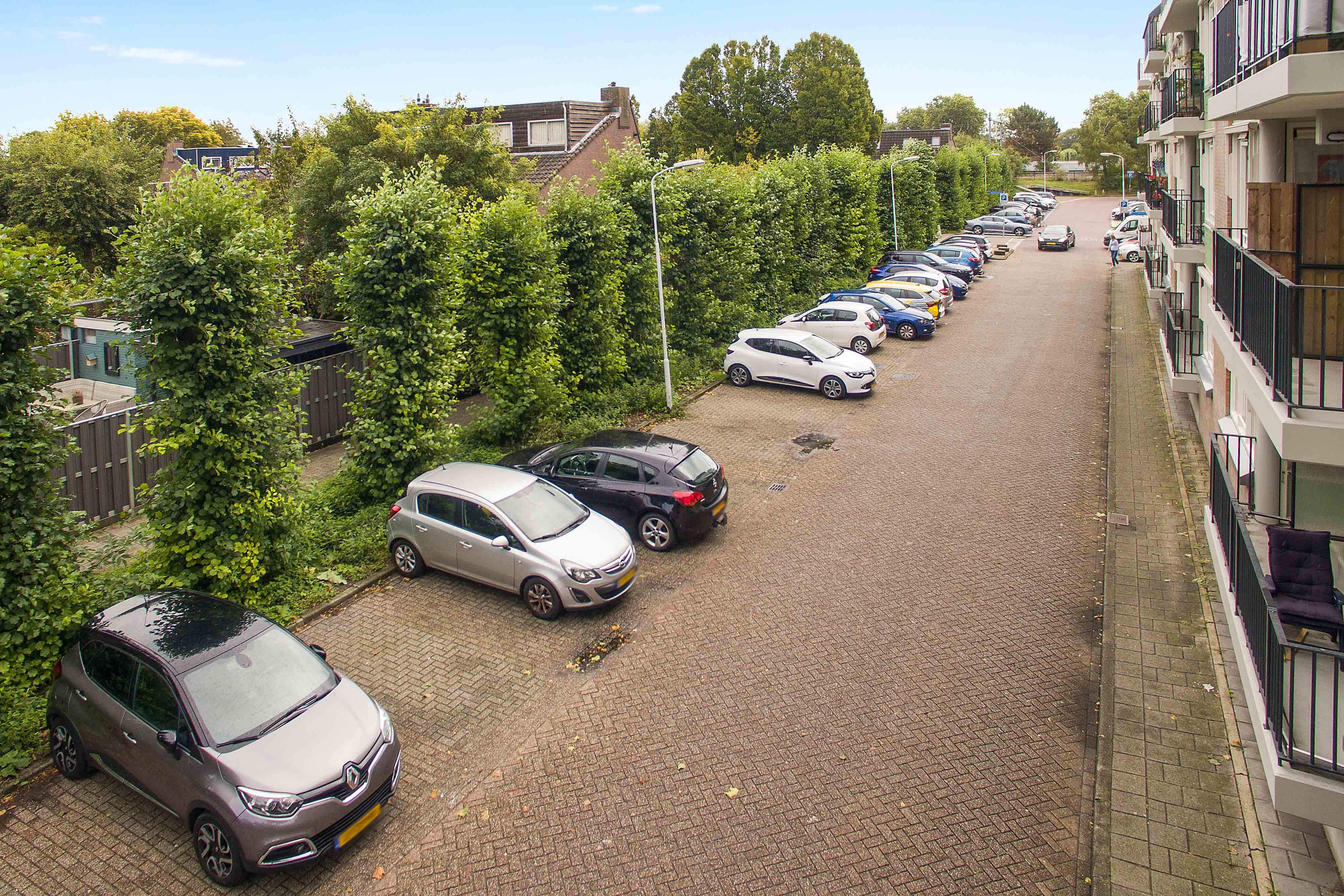 Afbeelding 5 van 12