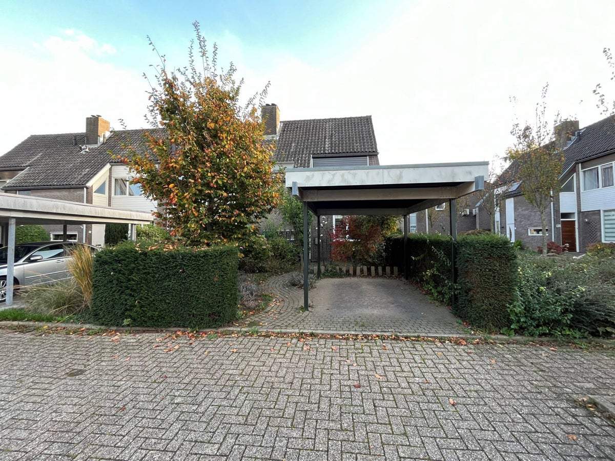 Afbeelding 3 van 15