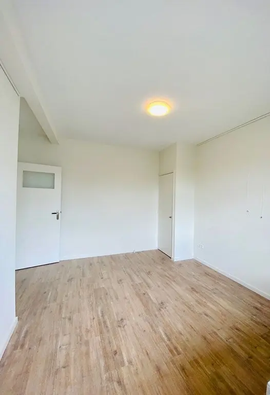 Image 16 of 17