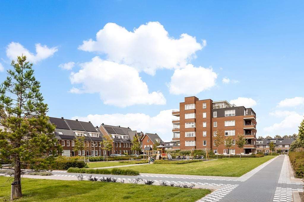 Afbeelding 19 van 20