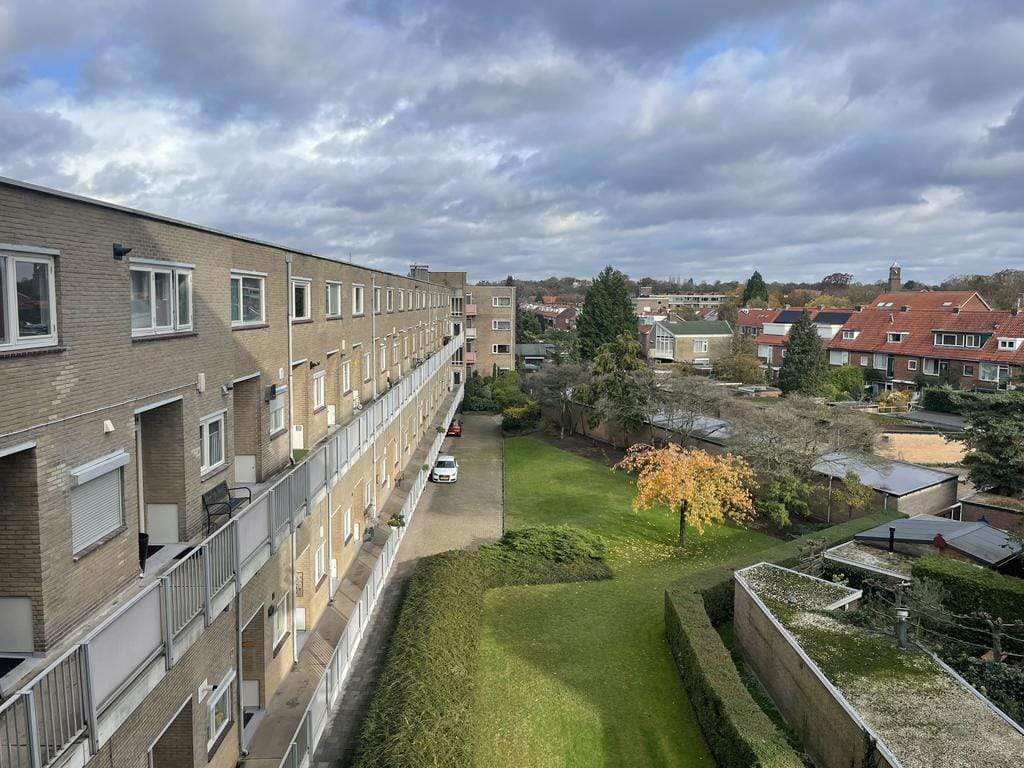 Image 2 of 12