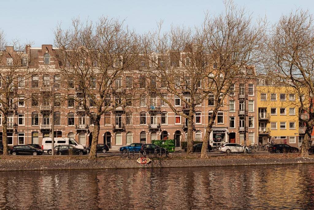 Afbeelding 1 van 25