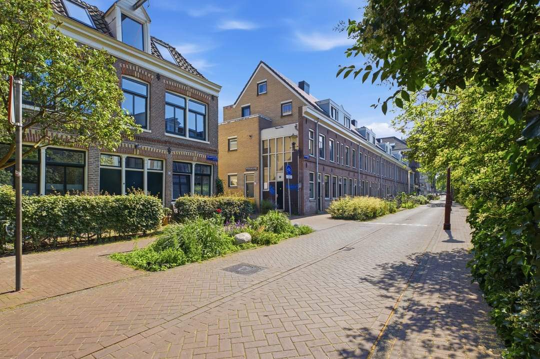 Afbeelding 41 van 46