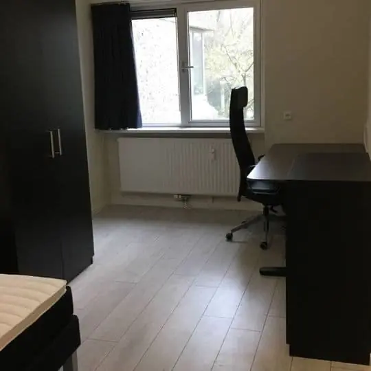 Image 7 of 10