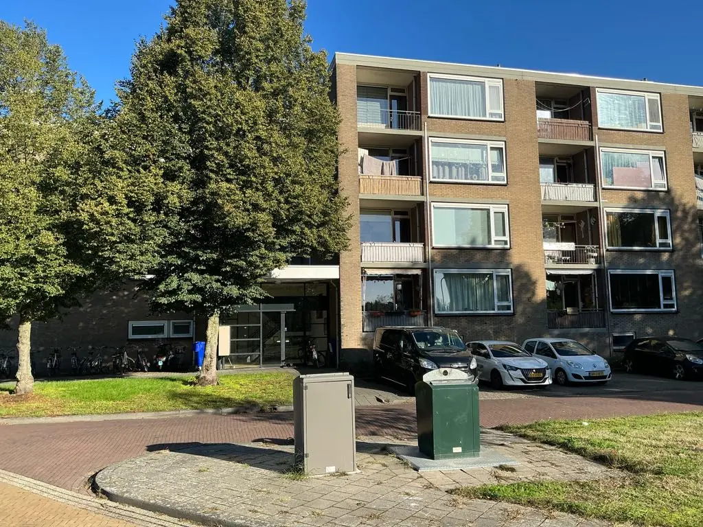 Afbeelding 1 van 3