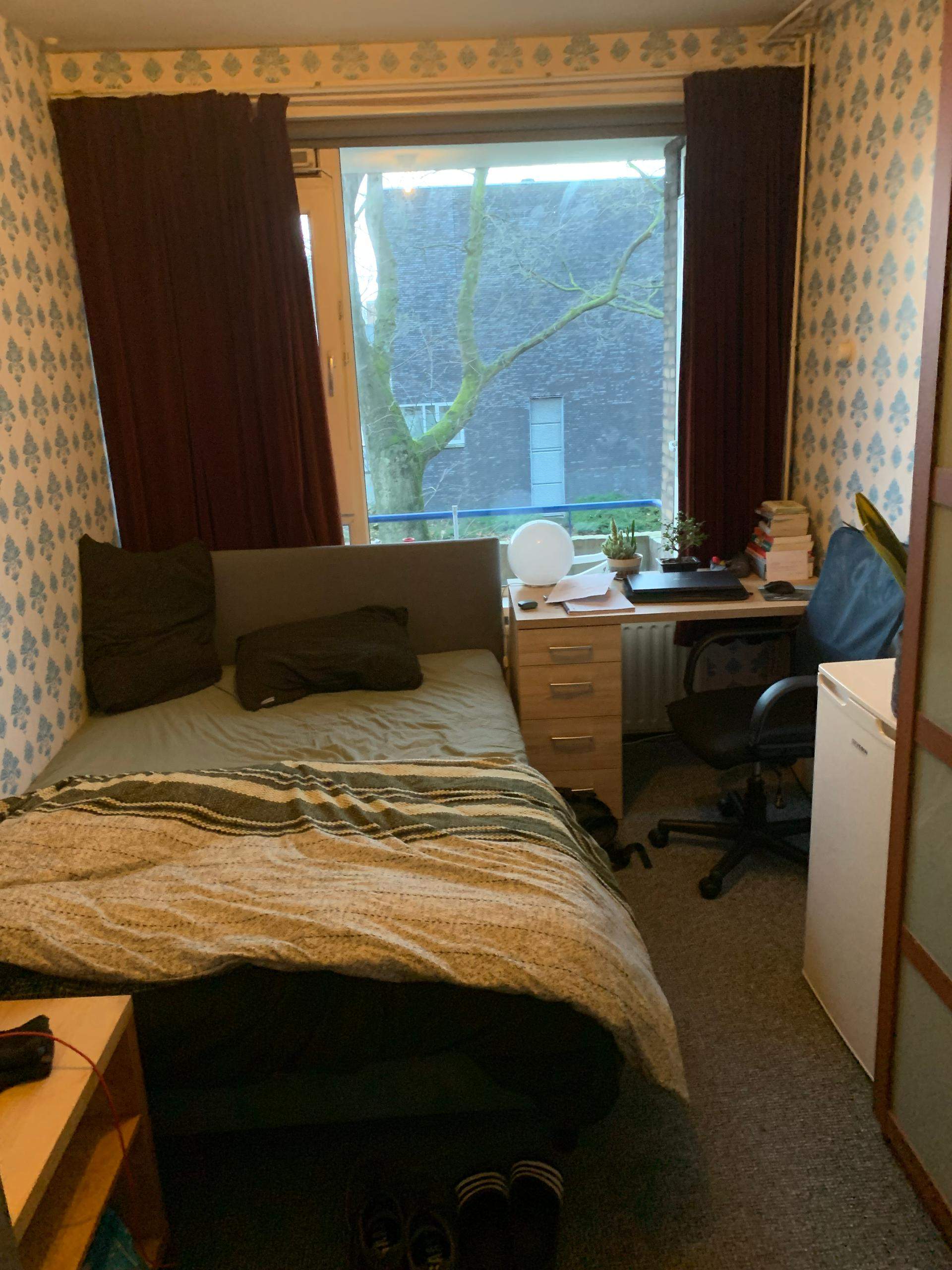 Image 1 of 8