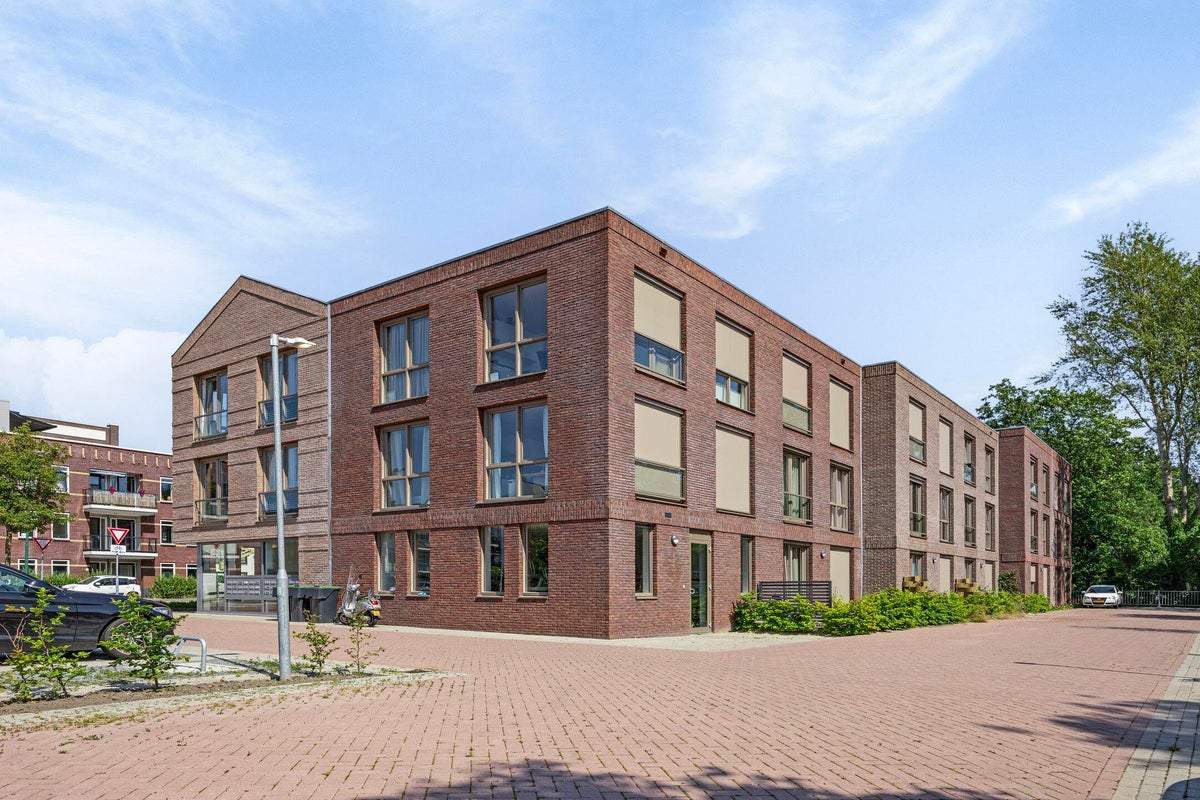 Afbeelding 3 van 13