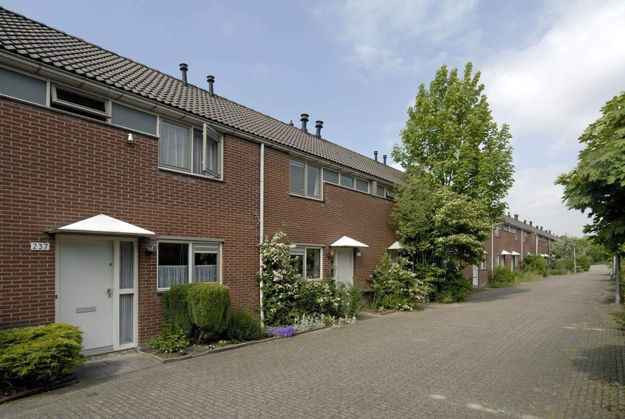 Image 19 of 19