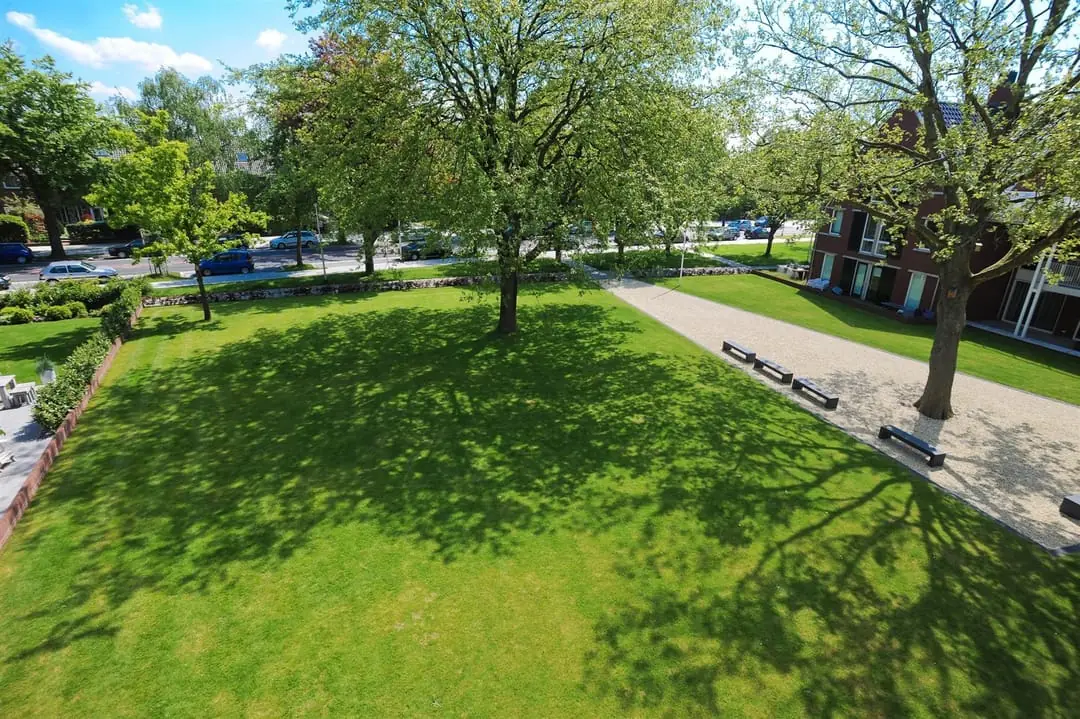 Image 11 of 11