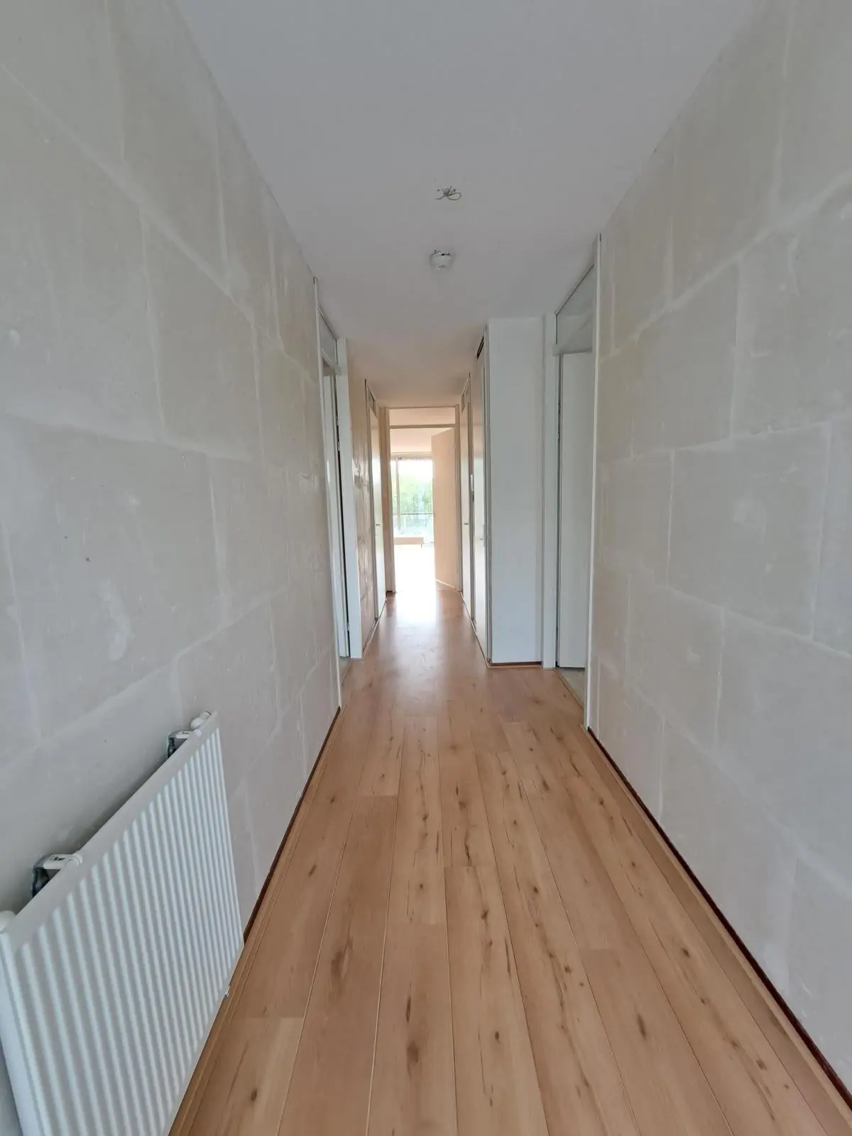 Image 12 of 20